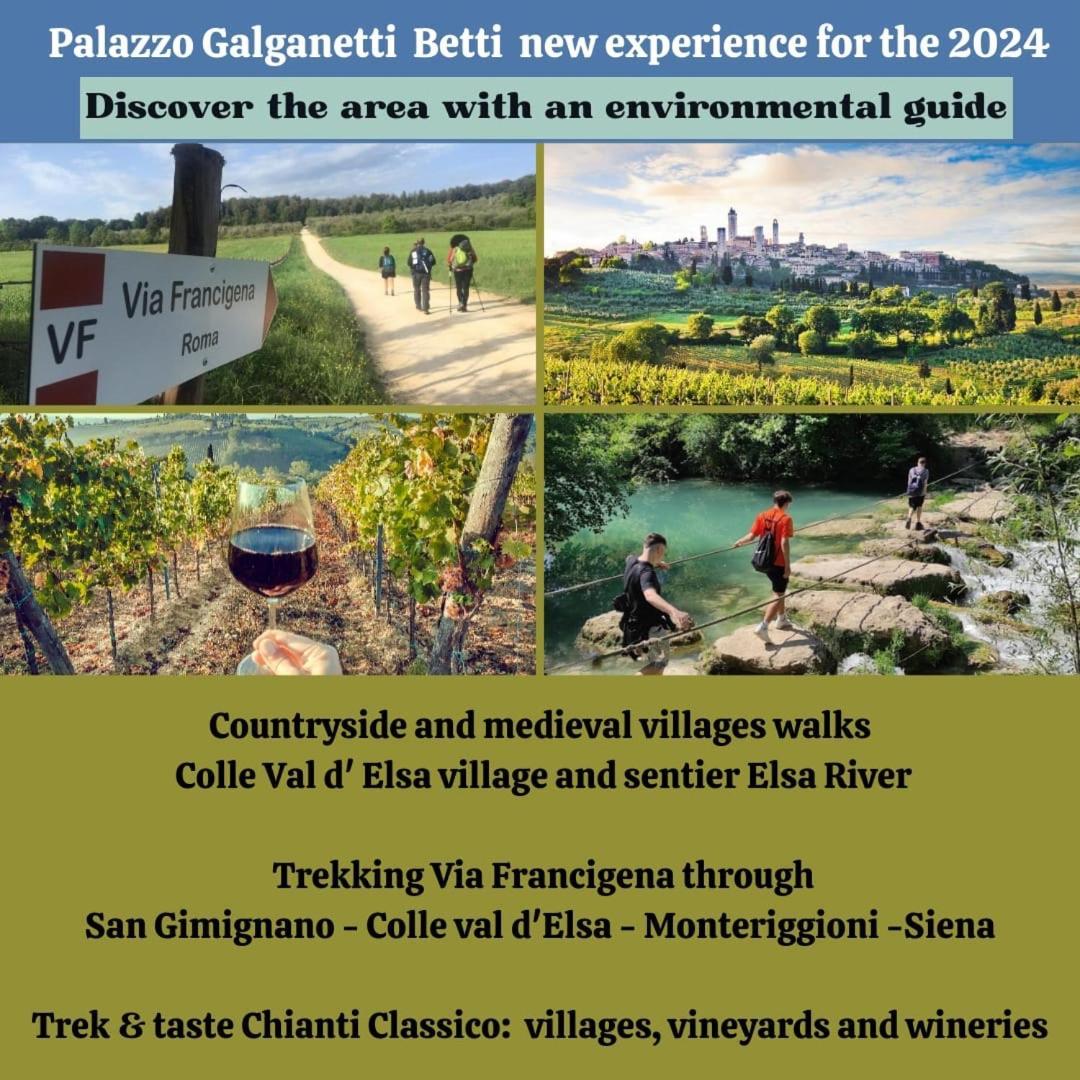 Palazzo Galganetti Betti Villa Colle di Val d'Elsa Eksteriør billede